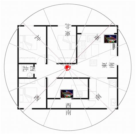 西南朝東北|【座西南朝東北】坐西南朝東北的房子風水：揭。